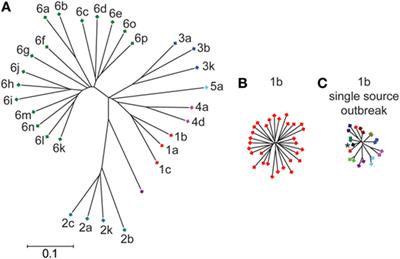 Defining Breadth of Hepatitis C Virus Neutralization